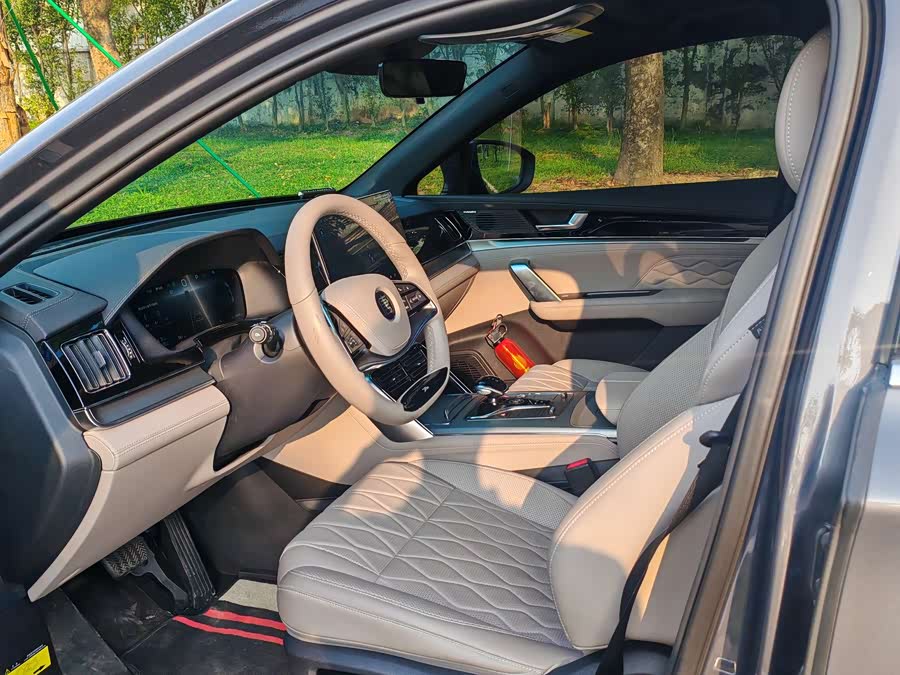 Tang 2025 DM-i 115KM Honor - zdjęcie 11