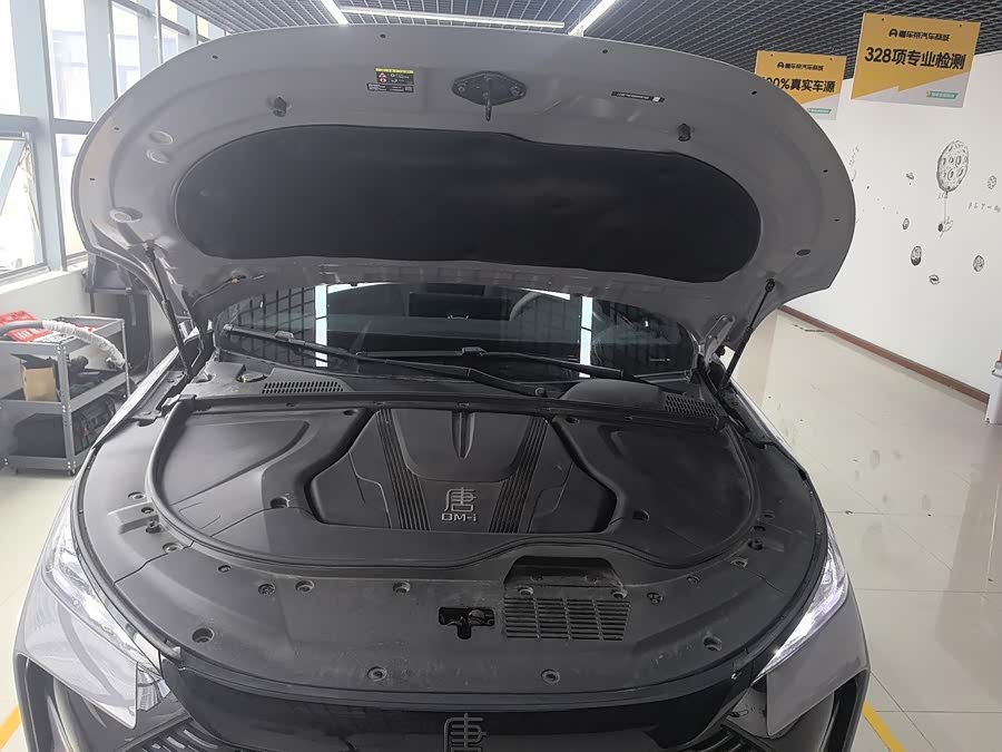 Tang New Energy 2025 Intelligent Driving DM-i 175KM Premium - zdjęcie 18