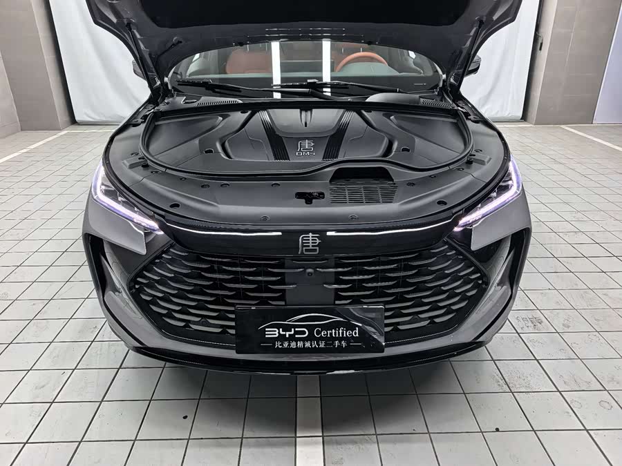 Tang New Energy 2025 Smart Driving DM-i 175KM Honor - zdjęcie 18