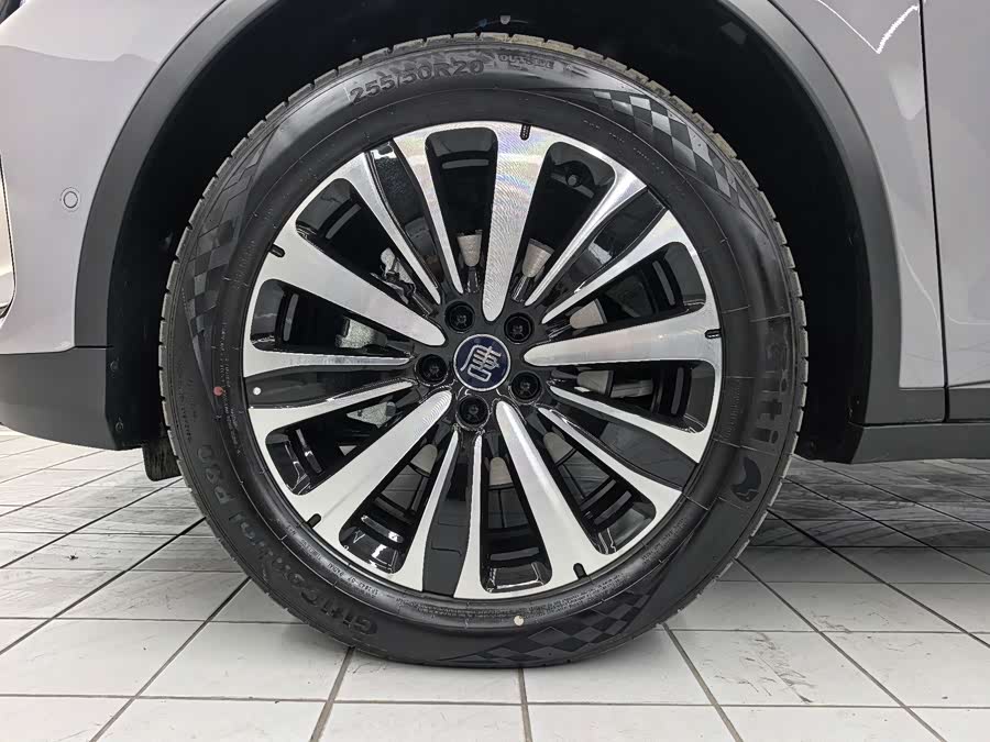 Tang New Energy 2025 Smart Driving DM-i 175KM Honor - zdjęcie 20