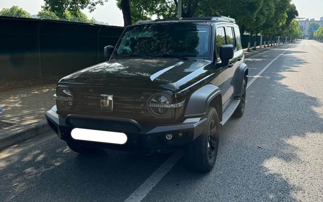 Tank 300 2024 2.0T Adventurer
