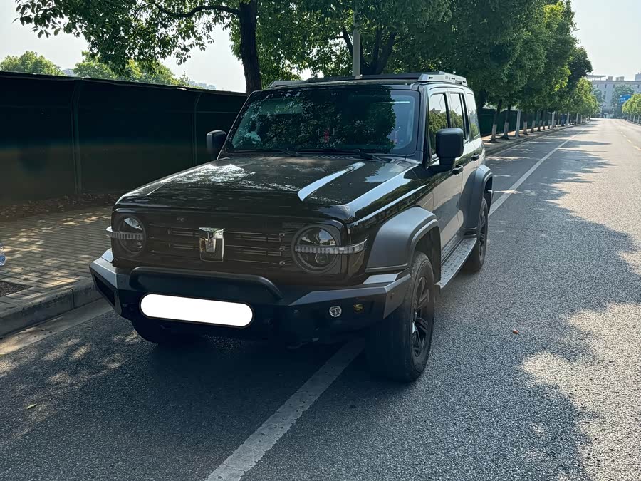Tank 300 2024 2.0T Adventurer