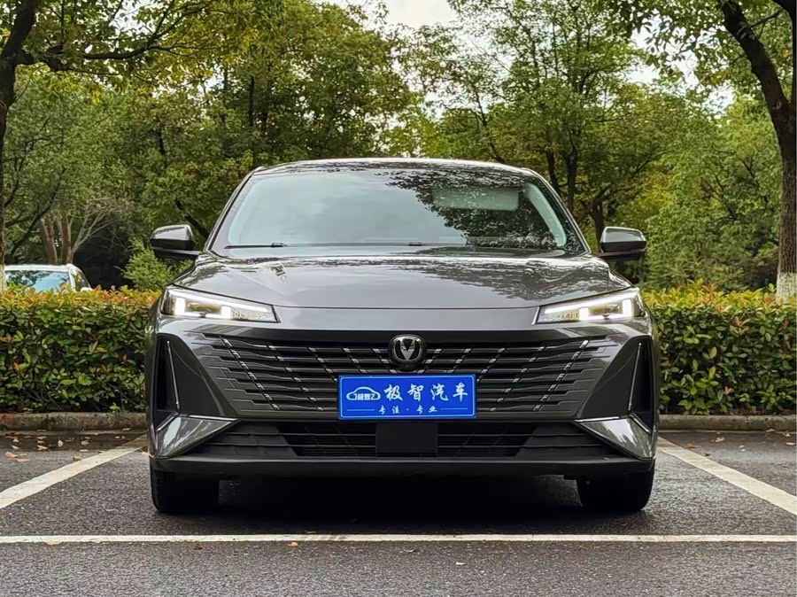 Yidong 2024 1.5T GDI Automatic Flagship - zdjęcie 2