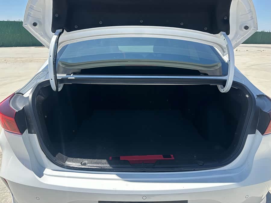Yidong 2025 Plus 1.5L Manual Luxury Edition - zdjęcie 11