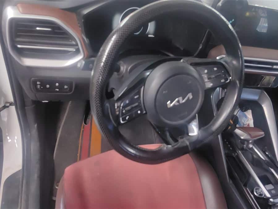 Zhi Pao 2021 Ace 2.0L Wonderful Edition - zdjęcie 15