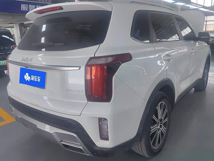 Zhi Pao 2021 Ace 2.0L Wonderful Edition - zdjęcie 19