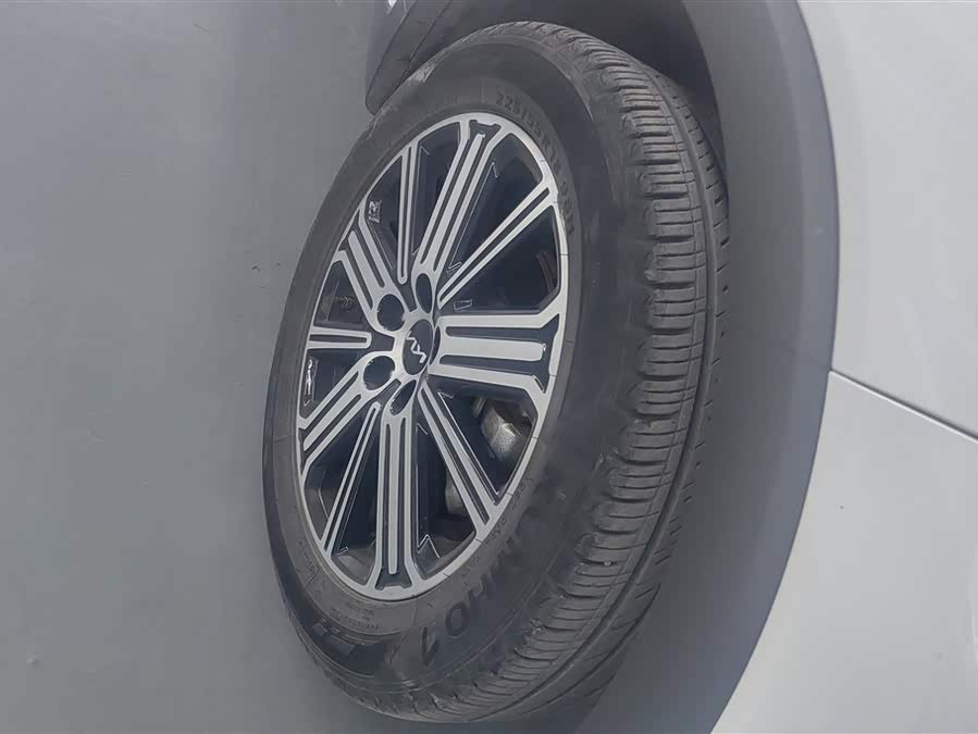 Zhi Pao 2021 Ace 2.0L Wonderful Edition - zdjęcie 6