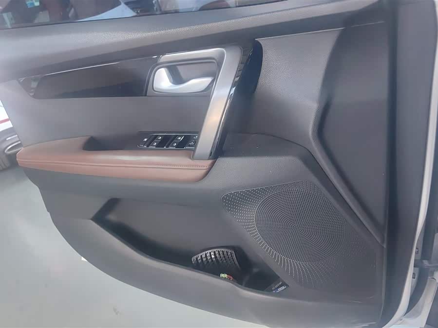 Zhi Pao 2021 Ace 2.0L Wonderful Edition - zdjęcie 7
