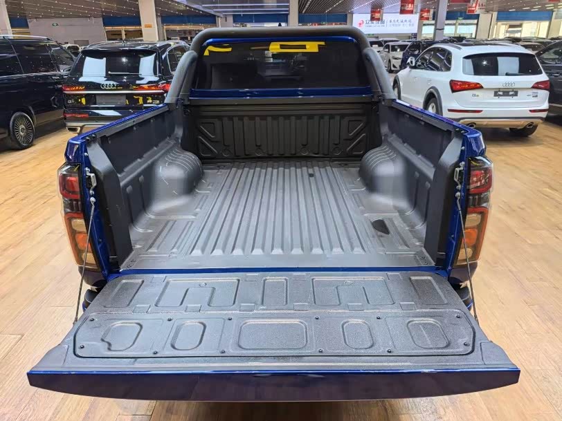 2023 2.0T Commercial Version Automatic Diesel Two-Wheel Drive Elite Long Box GW4D20M - zdjęcie 19