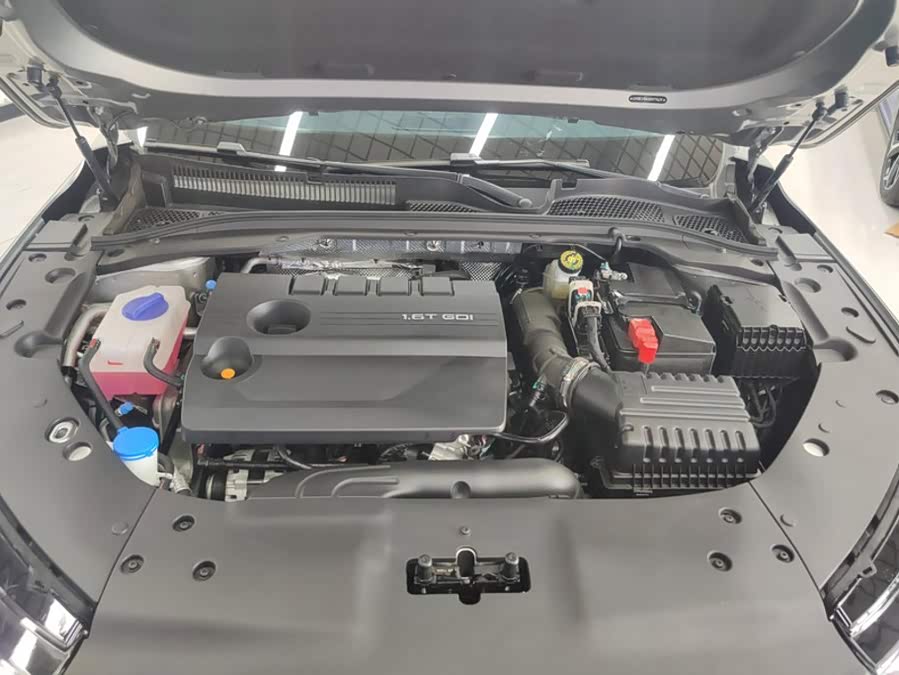 Ariya 8 PRO 2025 1.6T DCT Luxury - zdjęcie 10
