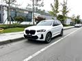 BMW X3 2023 xDrive30i Leading M Night Package - zdjęcie 19