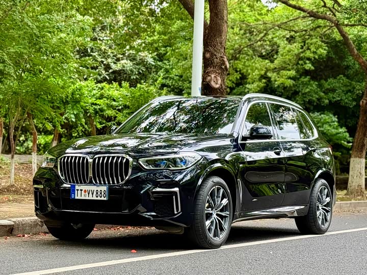BMW X5 2022 Facelift xDrive 40Li Luxury M Sport Package - zdjęcie 18