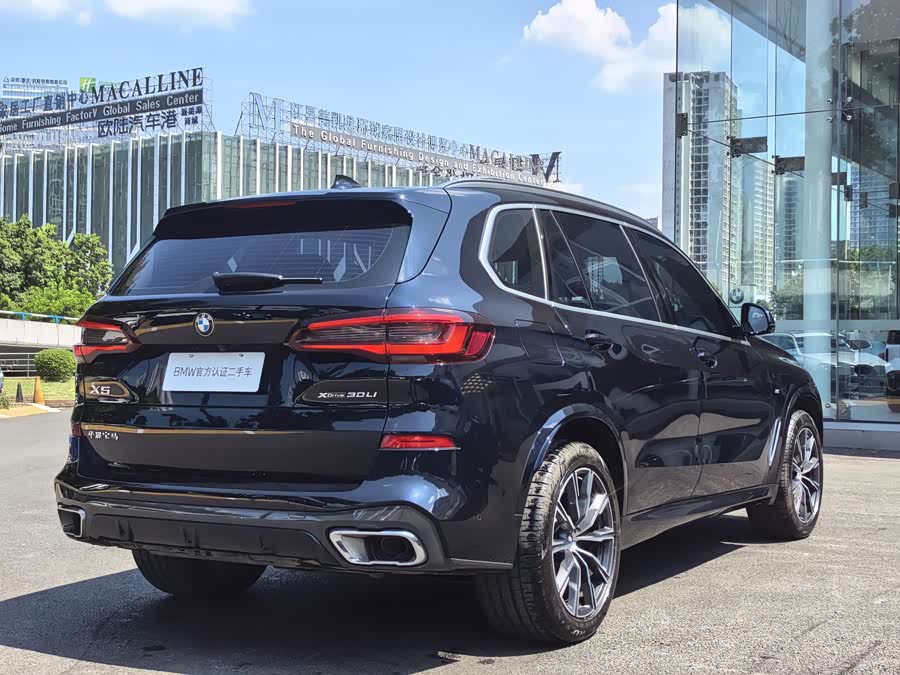 BMW X5 2022 xDrive 30Li Luxury M Sport Package - zdjęcie 8