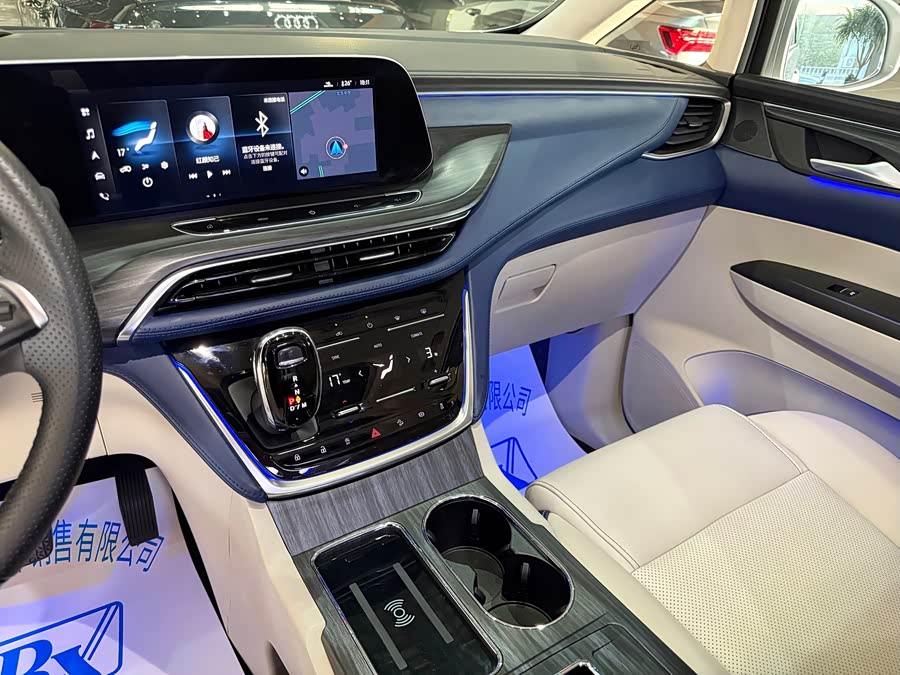 Buick GL8 2023 ES Luxury - zdjęcie 19