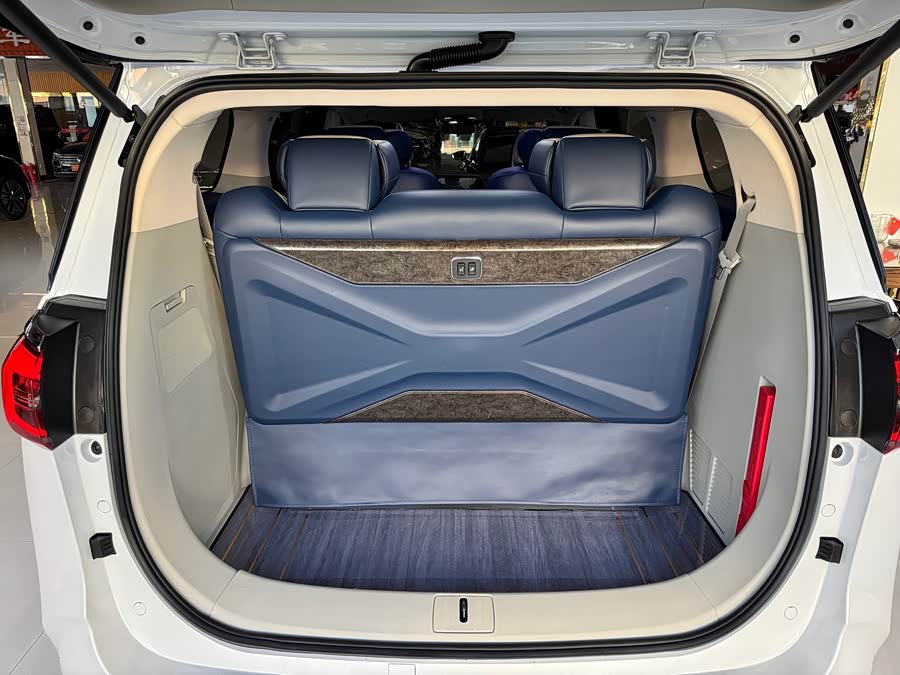 Buick GL8 2023 ES Luxury - zdjęcie 8