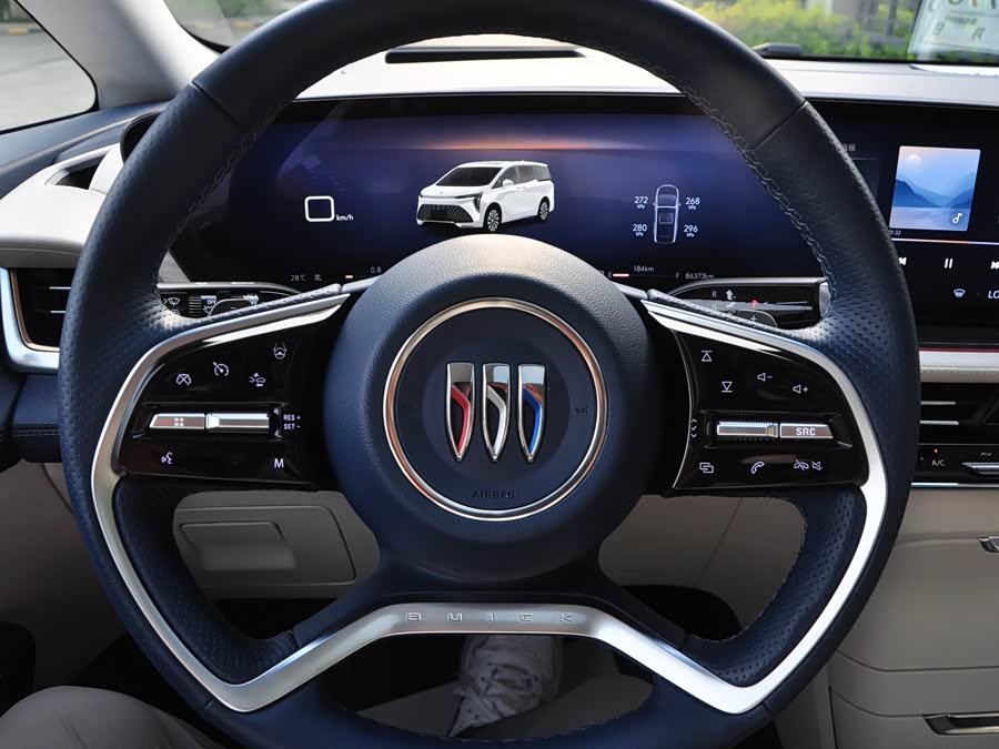 Century 2023 2.0T Six-Seater Yunshe Edition - zdjęcie 9