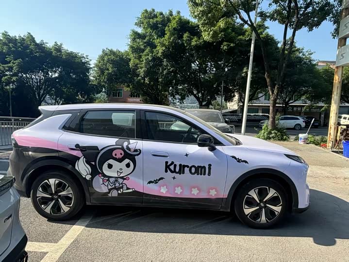 Changan Qiyuan Q05 506Max - zdjęcie 11
