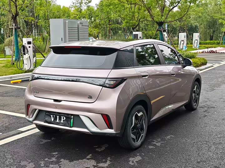 Dolphin 2021 405km Freedom Edition - zdjęcie 17