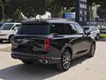GAC GS8 2022 Pilot Series 2.0TGDI Two-Wheel Drive Luxury Intelligent Version (Seven Seats) - zdjęcie 14