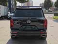 GAC GS8 2022 Pilot Series 2.0TGDI Two-Wheel Drive Luxury Intelligent Version (Seven Seats) - zdjęcie 15