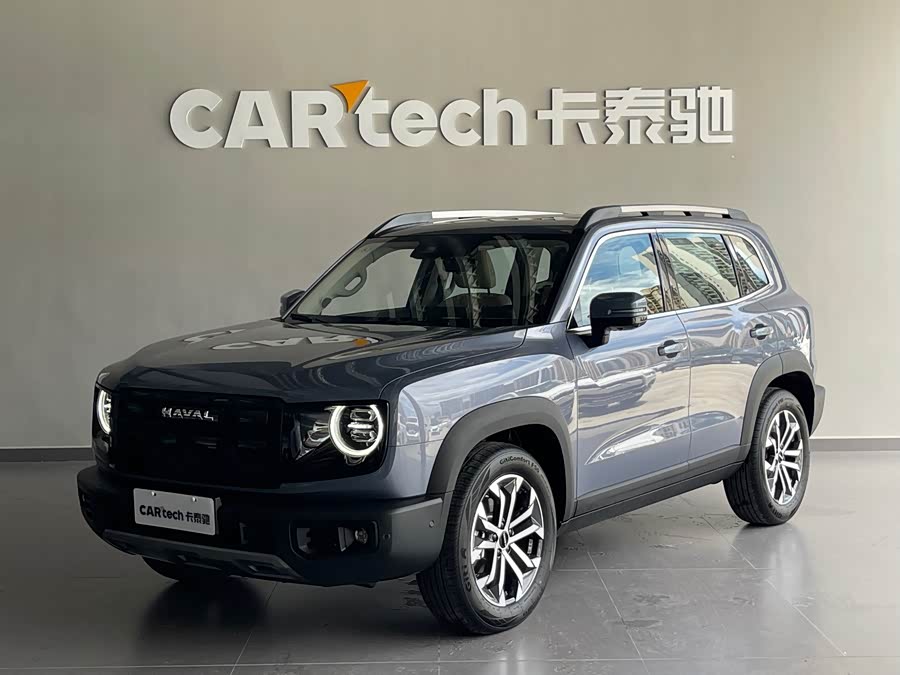 Haval Big Dog 1.5T DCT Border Collie