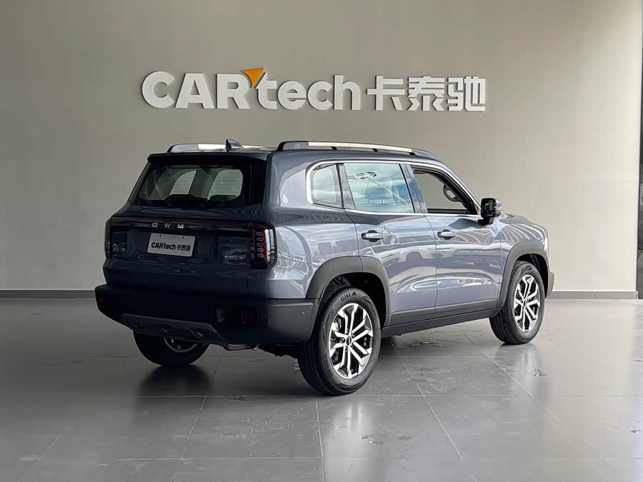 Haval Big Dog 1.5T DCT Border Collie - zdjęcie 4