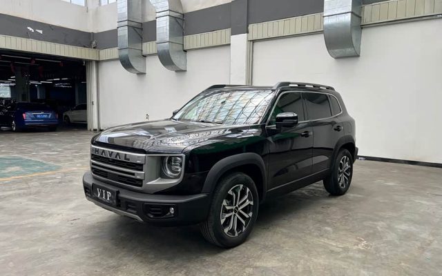 Haval Big Dog 2024 1.5T DCT Labrador