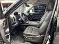 Haval Big Dog 2024 1.5T DCT Labrador - zdjęcie 20