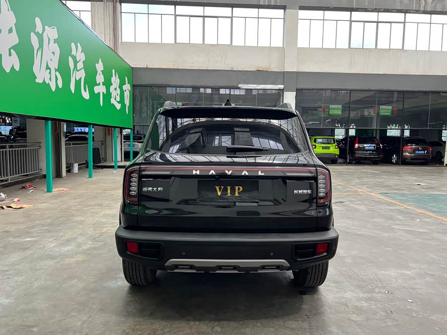 Haval Big Dog 2024 1.5T DCT Labrador - zdjęcie 8