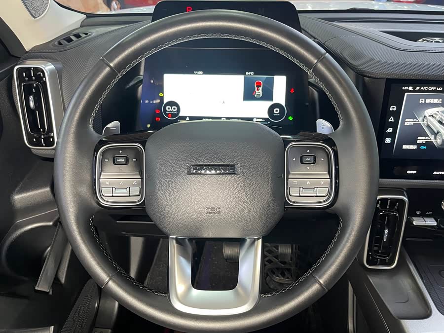 Haval Dog 2022 2.0T DCT 4WD Chinese Rural Dog Edition - zdjęcie 11