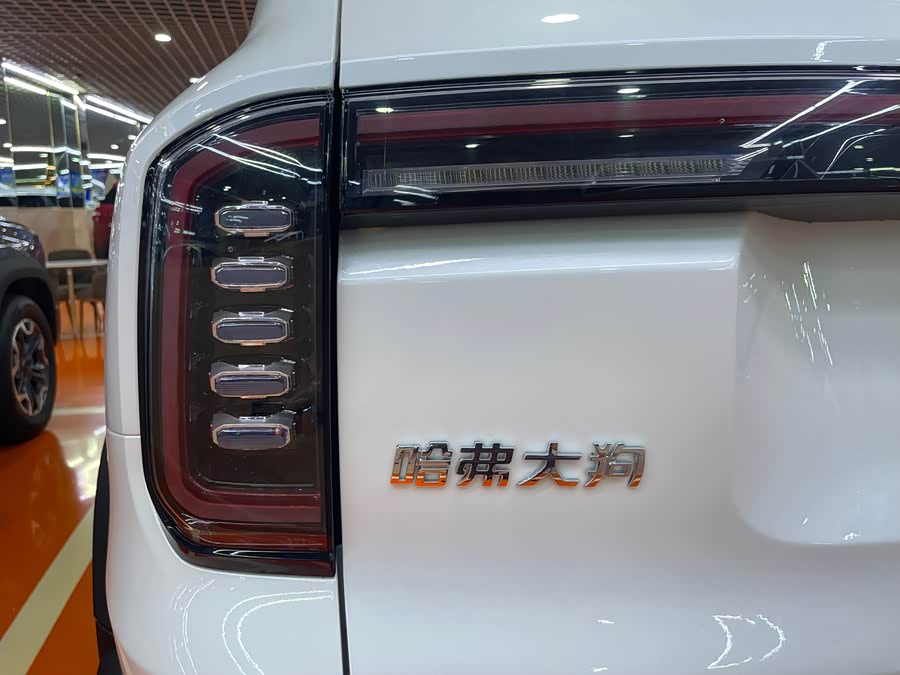 Haval Dog 2022 2.0T DCT 4WD Chinese Rural Dog Edition - zdjęcie 16