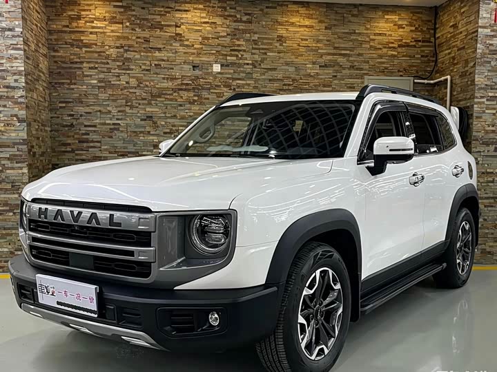 Haval Dog 2022 2.0T DCT 4WD Chinese Rural Dog Edition - zdjęcie 18