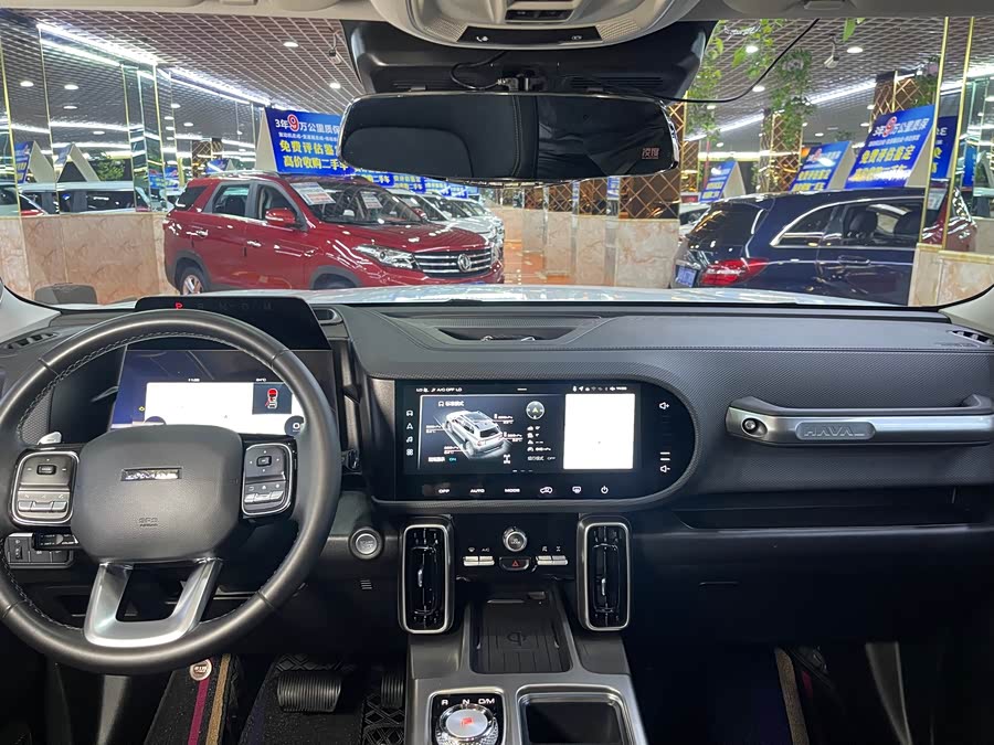 Haval Dog 2022 2.0T DCT 4WD Chinese Rural Dog Edition - zdjęcie 6