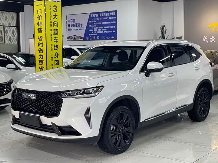 Haval H6 2021 3rd Gen 2.0T Auto 4WD Supreme - zdjęcie 10