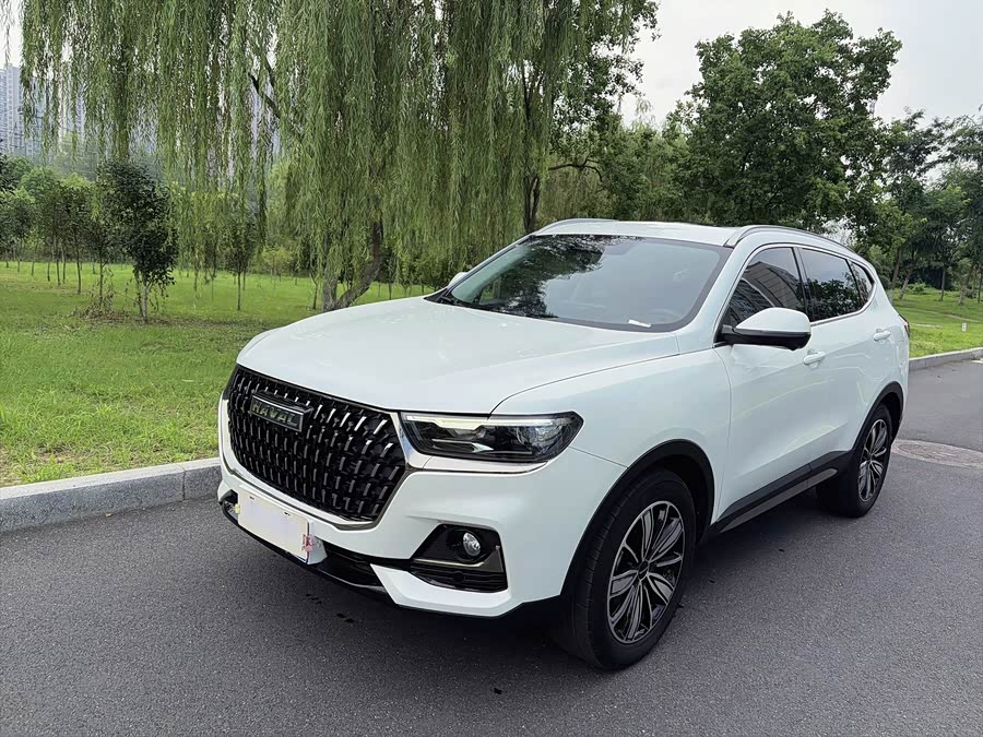 Haval H6 2023 National Trend 1.5T Auto Champion