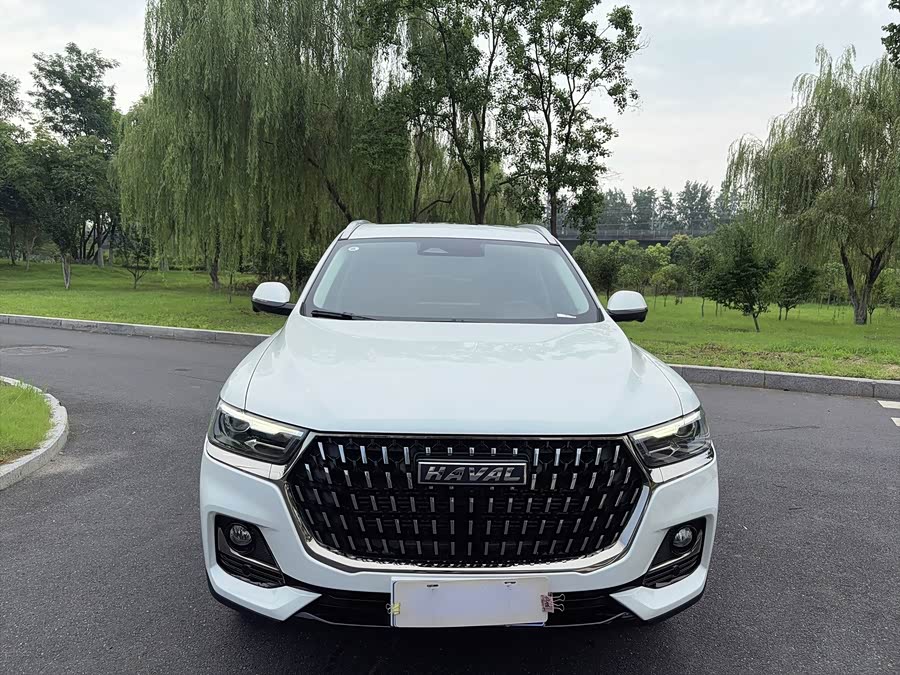 Haval H6 2023 National Trend 1.5T Auto Champion - zdjęcie 2