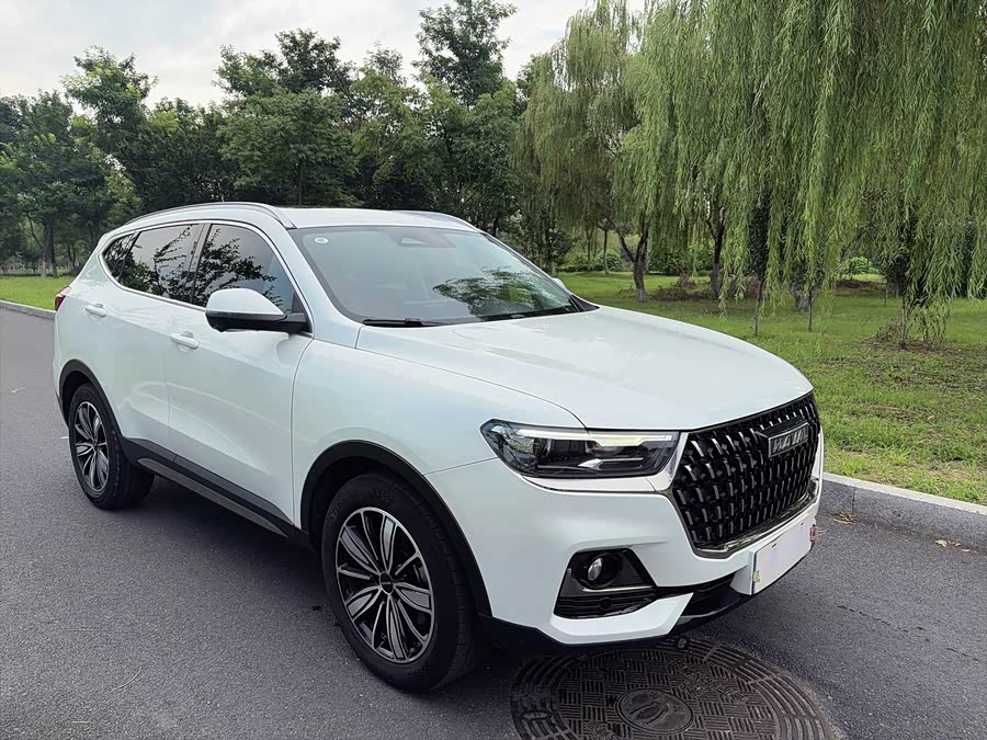 Haval H6 2023 National Trend 1.5T Auto Champion - zdjęcie 3