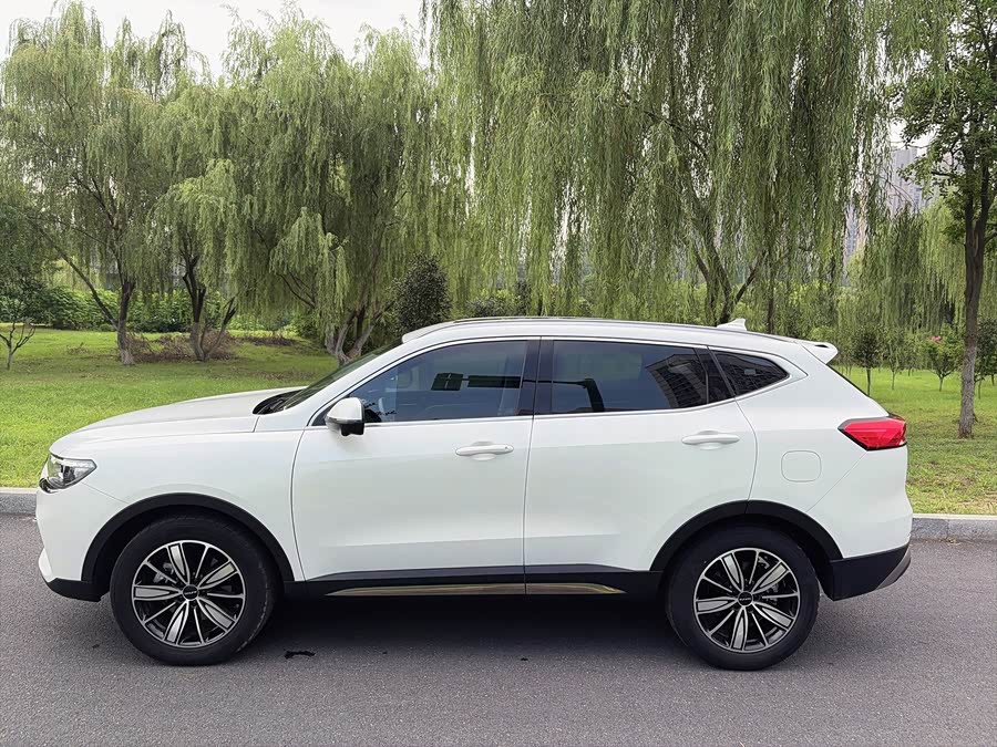 Haval H6 2023 National Trend 1.5T Auto Champion - zdjęcie 4