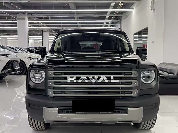 Haval Menglong New Energy 2024 Hi4 145 Off-Road Version - zdjęcie 11