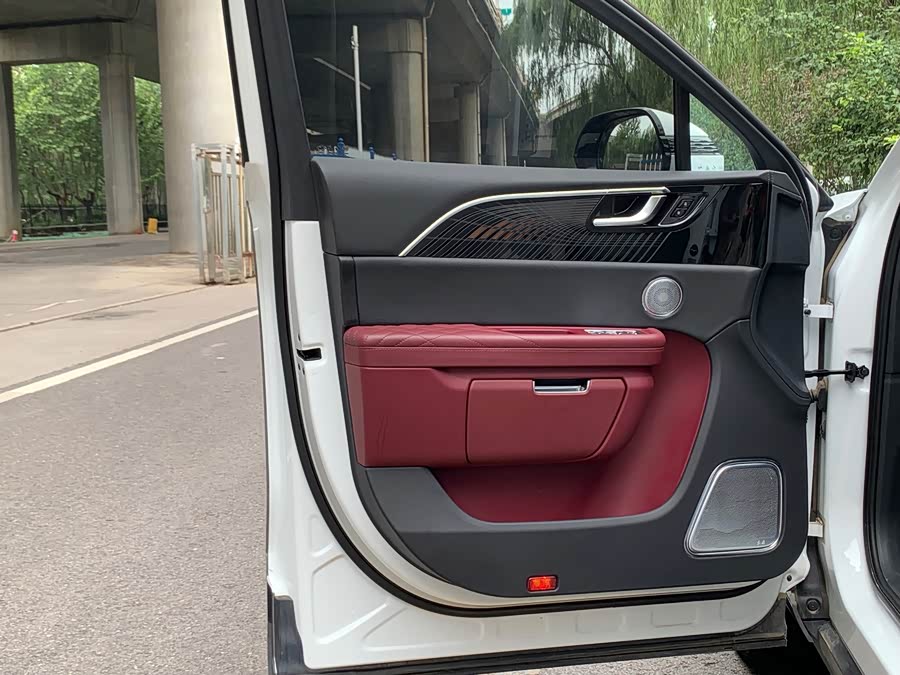 Hongqi E-HS9 2022 660km Flagship 4-Seater - zdjęcie 17