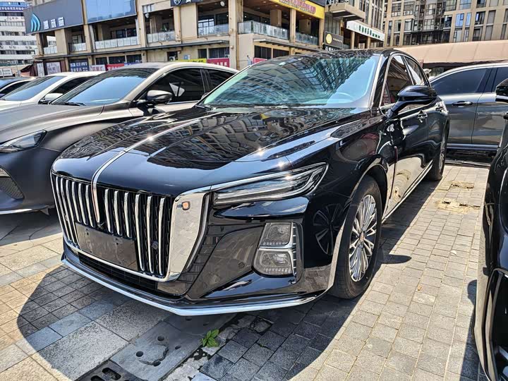 Hongqi H5 2024 1.5T DCT Intelligent Flag Joy Version - zdjęcie 16