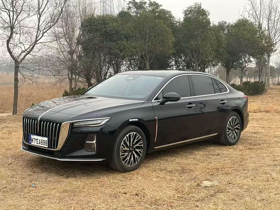 Hongqi H5 2025 2.0T Auto Qichang