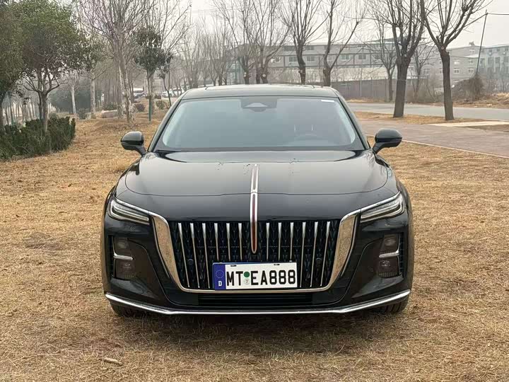 Hongqi H5 2025 2.0T Auto Qichang - zdjęcie 11