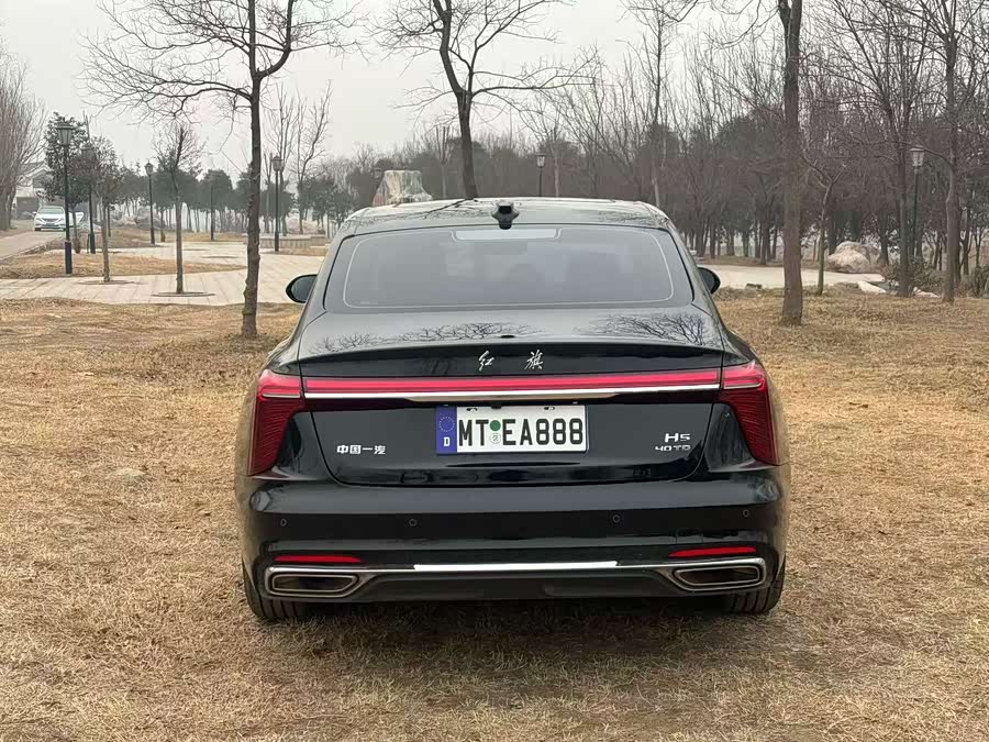 Hongqi H5 2025 2.0T Auto Qichang - zdjęcie 8
