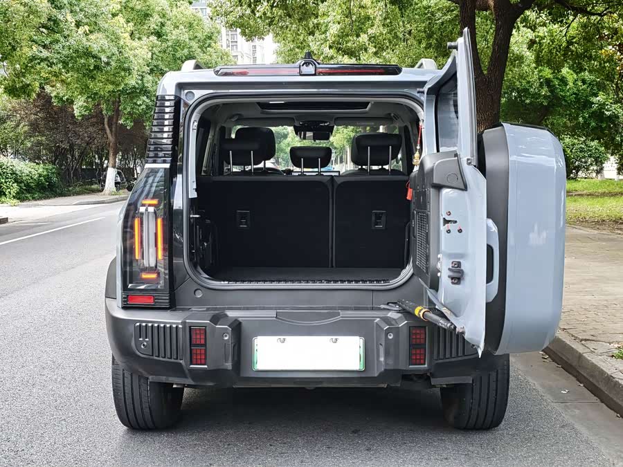 Jietu Traveler C-DM 2024 C-DM 129KM Wilderness - zdjęcie 12