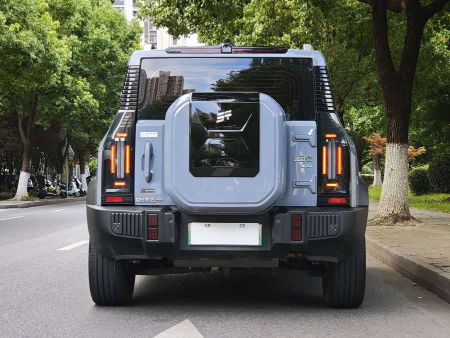 Jietu Traveler C-DM 2024 C-DM 129KM Wilderness - zdjęcie 14