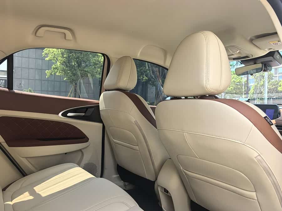 Ora Good Cat 2024 401km Luxury - zdjęcie 11
