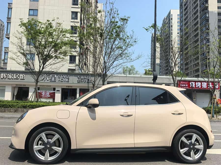 Ora Good Cat 2024 401km Luxury - zdjęcie 12