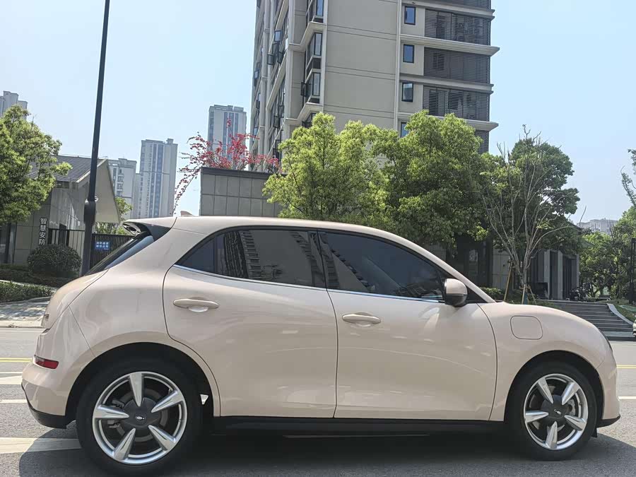 Ora Good Cat 2024 401km Luxury - zdjęcie 14