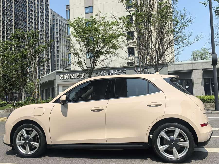 Ora Good Cat 2024 401km Luxury - zdjęcie 15